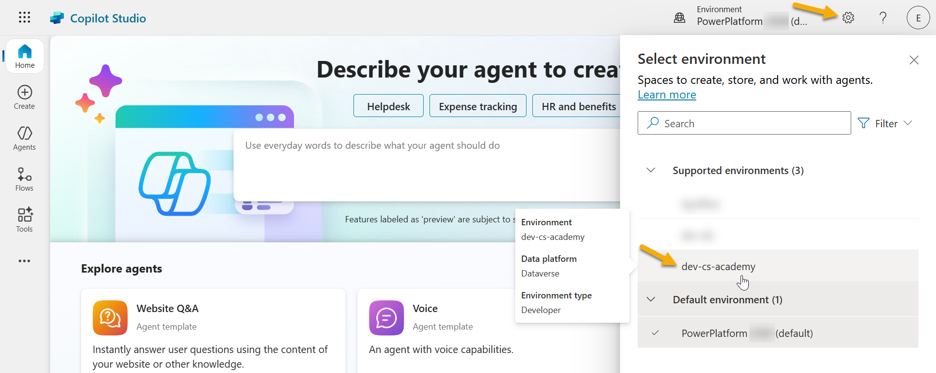 Developer environment